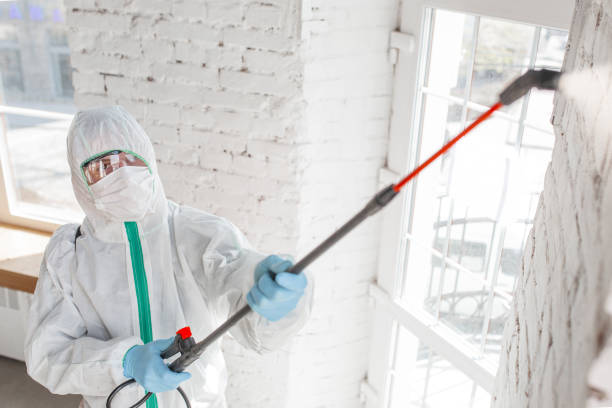 Best Commercial Mold Inspection  in Austin, AR