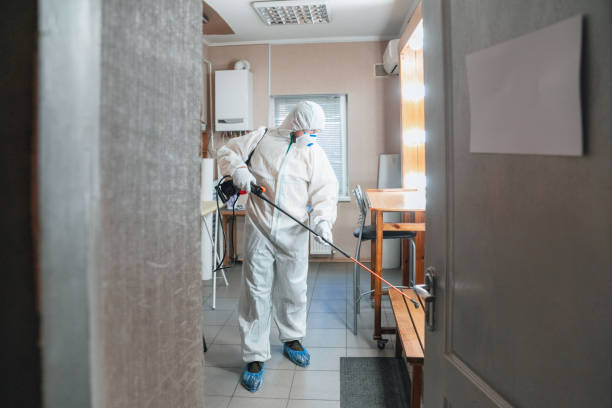 Best Mold Remediation for Vacation Homes  in Austin, AR