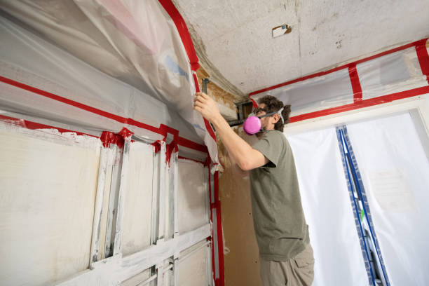 Environmental Consulting for Mold Prevention in Austin, AR